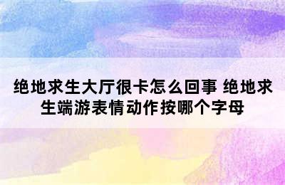 绝地求生大厅很卡怎么回事 绝地求生端游表情动作按哪个字母